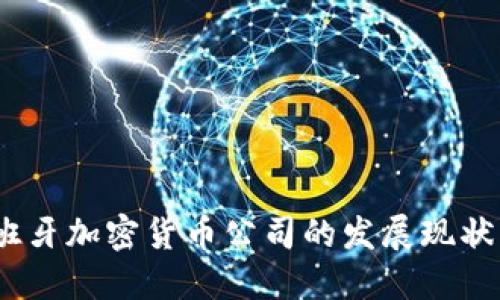 2023年西班牙加密货币公司的发展现状与未来趋势