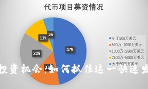 加密货币投资机会：如何抓住这一快速发展的市场