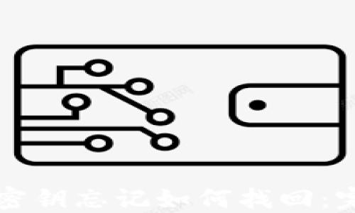 
TP钱包密钥忘记如何找回：完整指南