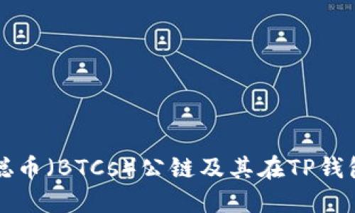 探索中本聪币（BTCs）公链及其在TP钱包中的应用