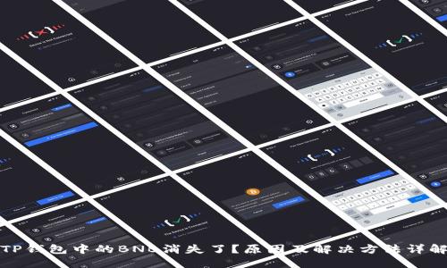 TP钱包中的BNB消失了？原因及解决方法详解