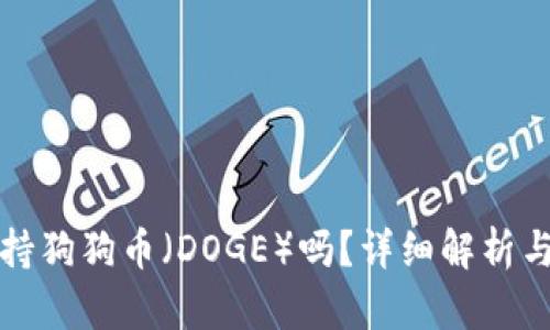 TP钱包支持狗狗币（DOGE）吗？详细解析与使用指南