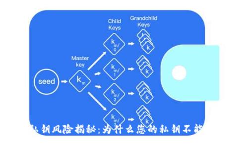 TP钱包私钥风险揭秘：为什么您的私钥不能随意截图？