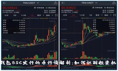 TP钱包BSC发行的币行情解析：如何识别投资机会？