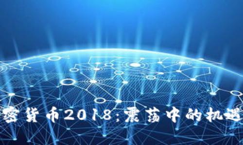 回望加密货币2018：震荡中的机遇与挑战