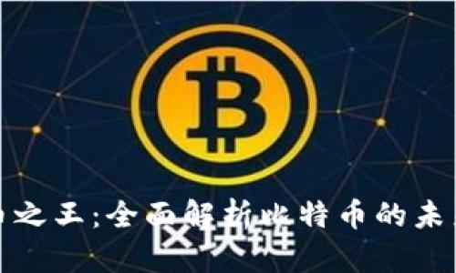 加密货币之王：全面解析比特币的未来与挑战