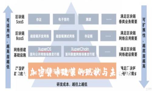 美国加密货币政策的现状与未来展望