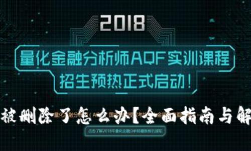 TP钱包被删除了怎么办？全面指南与解决方案