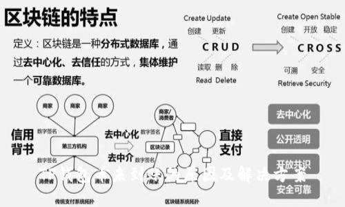 TP钱包币未到账的原因及解决方案