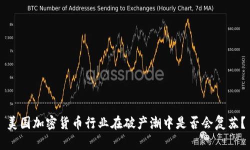 美国加密货币行业在破产潮中是否会复苏？