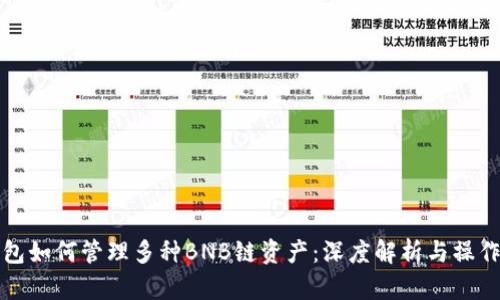 TP钱包如何管理多种BNB链资产：深度解析与操作指南