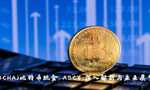 BCHA（比特币现金 ABC）：深入解析与未来展望