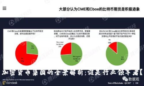 加密货币集团的全景解析：谁是行业领军者？