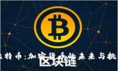 比特币：加密货币的未来与挑战