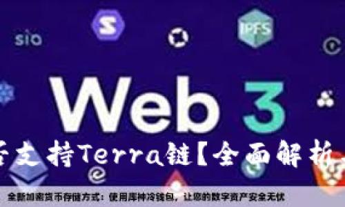 TP钱包是否支持Terra链？全面解析与使用指南