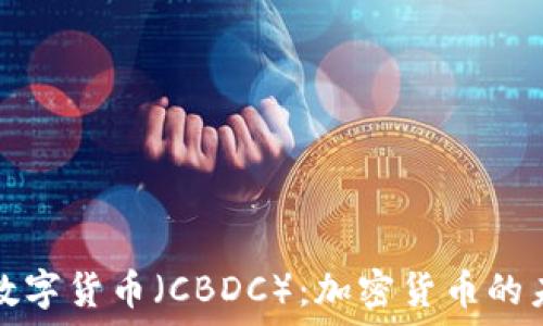   
揭示央行数字货币（CBDC）：加密货币的未来与挑战