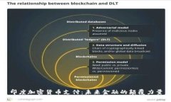 印度加密货币支付：未来金融的颠覆力量