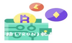 如何在TP钱包中下载波场(TRON)视频：详细指南与常