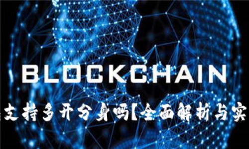 TP钱包支持多开分身吗？全面解析与实用技巧