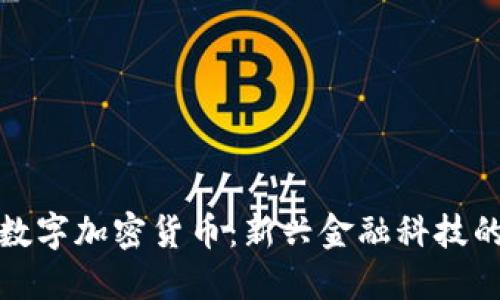 普尔数字加密货币：新兴金融科技的浪潮