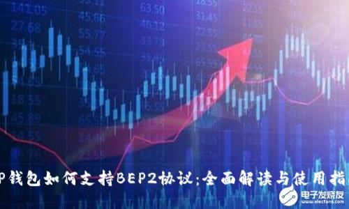 TP钱包如何支持BEP2协议：全面解读与使用指南