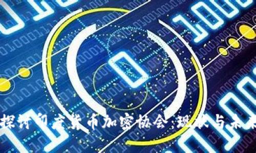 深入探讨印度货币加密协会：现状与未来展望