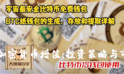 如何使加密货币增值：投资策略与市场解析