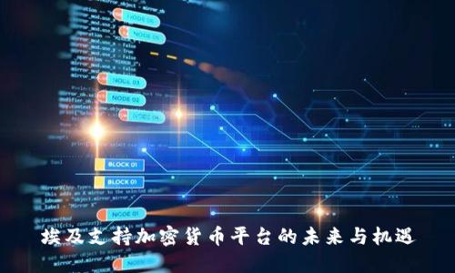 埃及支持加密货币平台的未来与机遇