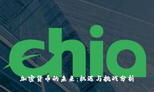 加密货币的未来：机遇与挑战分析