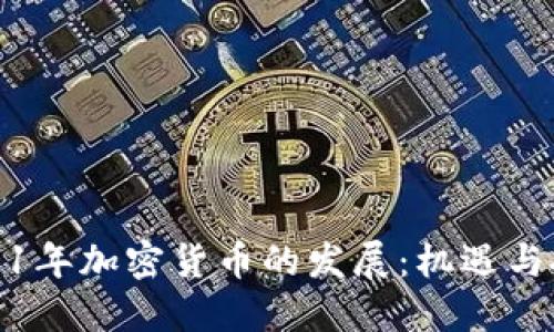 2011年加密货币的发展：机遇与挑战