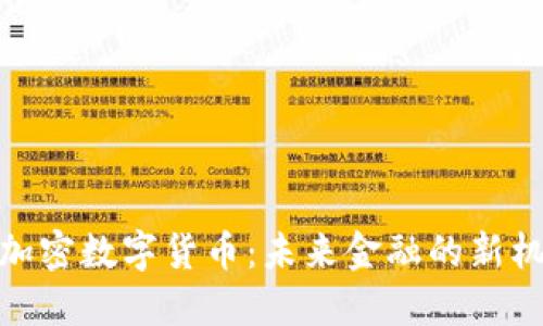 : 满星云加密数字货币：未来金融的新机遇与挑战