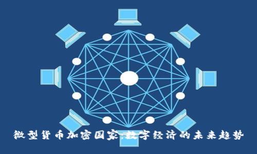 微型货币加密国家：数字经济的未来趋势