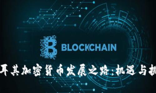 土耳其加密货币发展之路：机遇与挑战