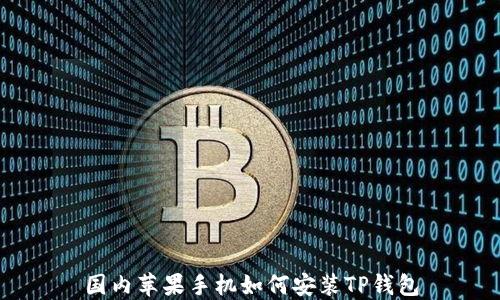 
国内苹果手机如何安装TP钱包