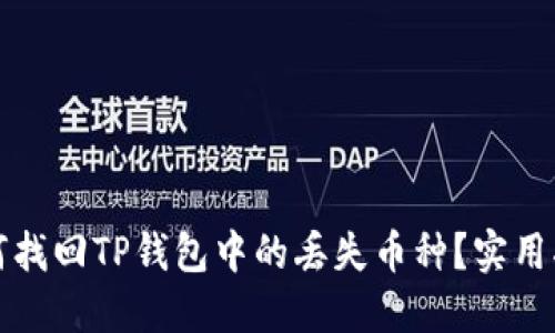 如何找回TP钱包中的丢失币种？实用指南
