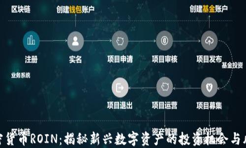 
加密货币ROIN：揭秘新兴数字资产的投资机会与风险