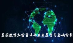 美国数字加密货币的未来展望与影响分析