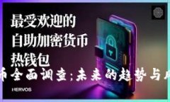 加密货币全面调查：未来的趋势与风险分析