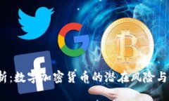  深度解析：数字加密货币的潜在风险与应对策略